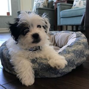 Meet your Posher, Mia